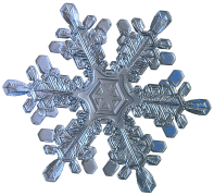 снежинка 38 тизме